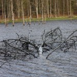 Fot. Halina Baćmaga