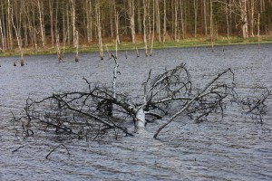 Fot. Halina Baćmaga