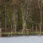 Fot. Halina Baćmaga