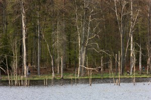 Fot. Halina Baćmaga