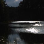 Fot. Halina Baćmaga