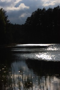 Fot. Halina Baćmaga