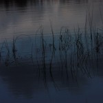 Fot. Halina Baćmaga