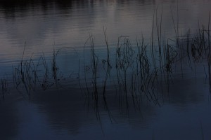 Fot. Halina Baćmaga