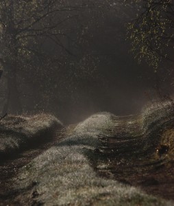 Fot. Halina Baćmaga