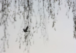 Fot. Halina Baćmaga