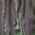 Fot. Jerzy Kołodziejski