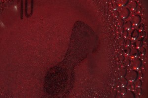 Fot. Jerzy Kołodziejski