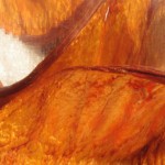 Fot. Jerzy Kołodziejski