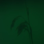 Fot. Jerzy Kołodziejski