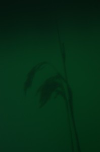 Fot. Jerzy Kołodziejski