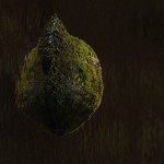 Fot. Jerzy Kołodziejski