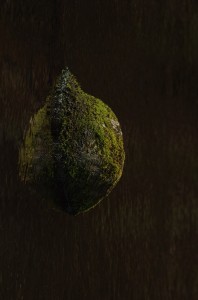 Fot. Jerzy Kołodziejski