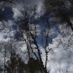 Fot. Jerzy Kołodziejski