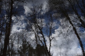 Fot. Jerzy Kołodziejski