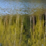 Fot. Maria Płonka-Krzemień