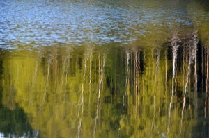 Fot. Maria Płonka-Krzemień