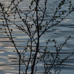 Fot. Maria Płonka-Krzemień