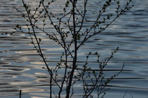 Fot. Maria Płonka-Krzemień