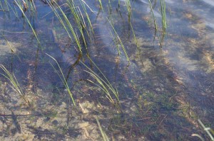 Fot. Maria Płonka-Krzemień