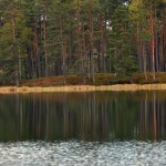 Fot. Maria Płonka-Krzemień