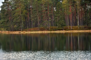 Fot. Maria Płonka-Krzemień