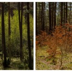 Fot. Wiesława Zabrocka