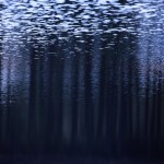 Fot. Agata Łęgowska