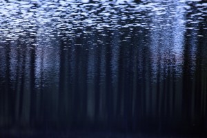 Fot. Agata Łęgowska