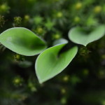 Fot. Małgorzata Kozak