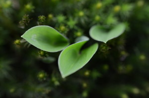 Fot. Małgorzata Kozak