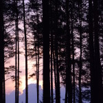 Fot. Małgorzata Kozak