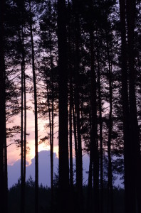 Fot. Małgorzata Kozak