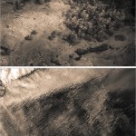 Fot. Jerzy Kołodziejski