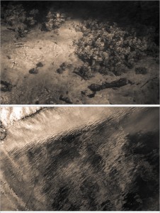 Fot. Jerzy Kołodziejski