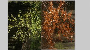 Fot. Magda Szutarska