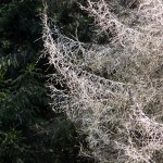 Fot. Małgorzata Marczuk