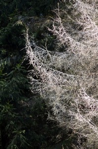 Fot. Małgorzata Marczuk