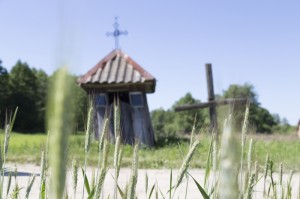 Fot. Agnieszka Wielopolska