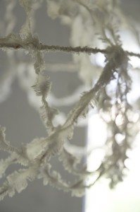 Fot. Agnieszka Wielopolska