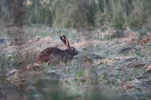 Fot. Halina Baćmaga