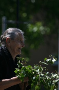 Fot. Halina Baćmaga