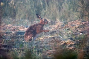 Fot. Halina Baćmaga