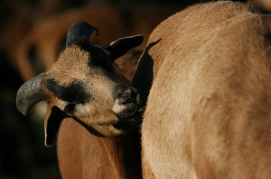 Fot. Halina Baćmaga