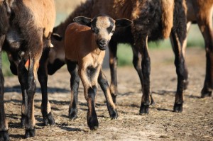 Fot. Krzysztof Tomaszewski
