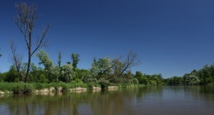 Fot. Krzysztof Tomaszewski