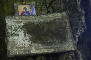 Fot. Krzysztof Tomaszewski