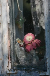 Fot. Krzysztof Tomaszewski