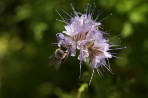 Fot. Krzysztof Tomaszewski