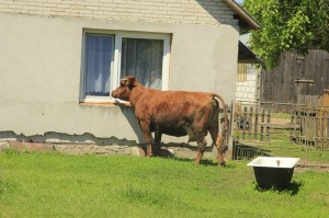 Fot. Katarzyna Kalinowska